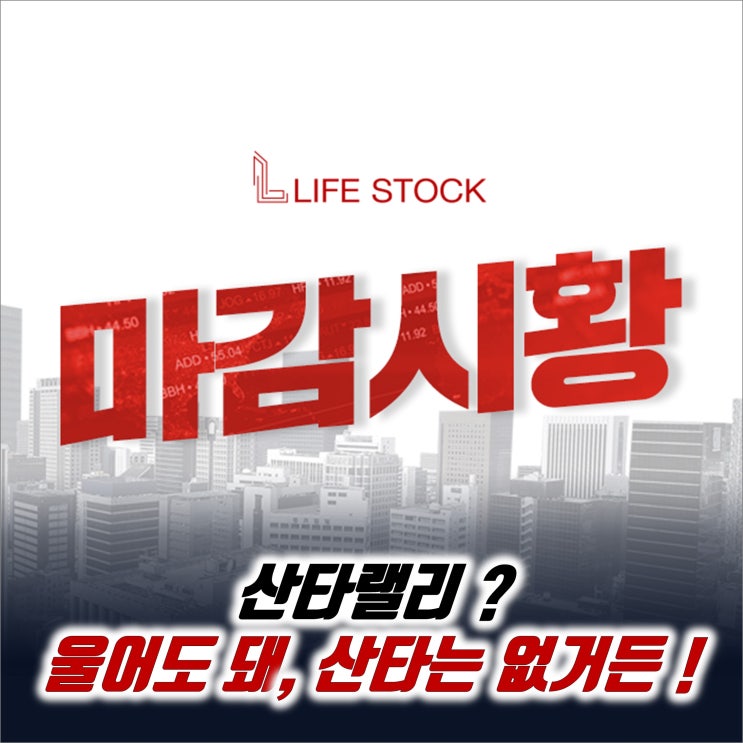  『 라이프스탁 』 산타랠리? 울어도 돼, 산타는 없거든!