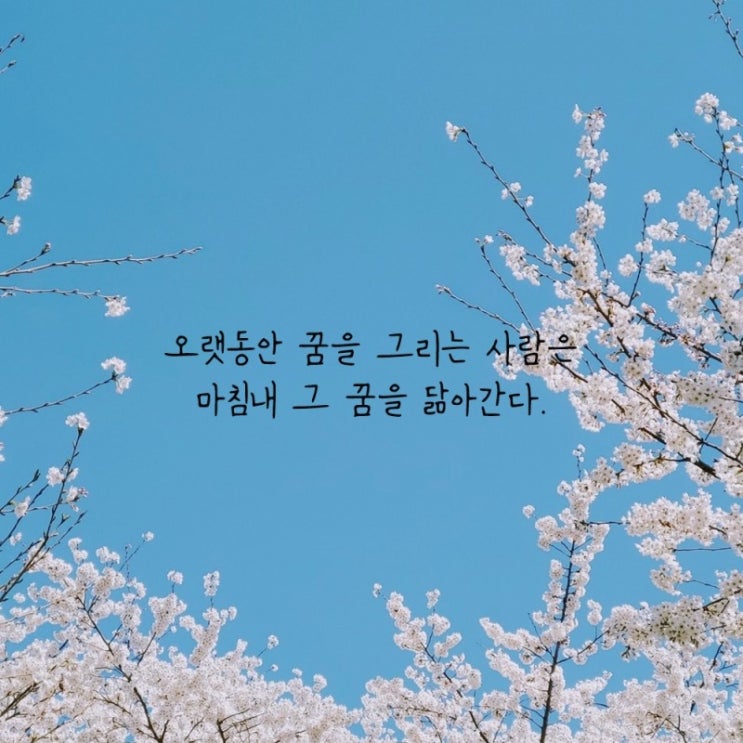  부거사이 [부동산 뉴스와 블로그] 12월 3일(금)