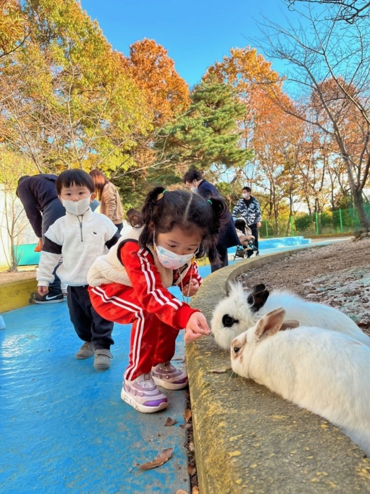  애니가드 소형 고래마스크 겨울 김서림 없이