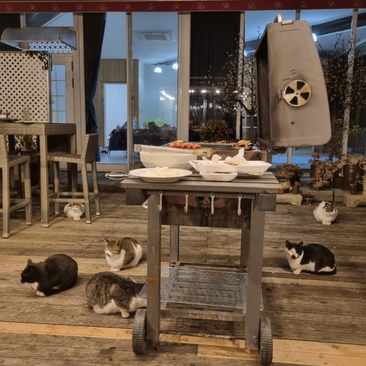  우당탕탕⎝⎠ 1박2일 을왕리 : 동해막국수 + 카페블랑