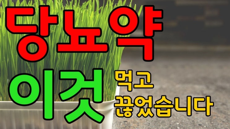 당뇨에 좋은 음식 새싹보리의 효능과 섭취, 재배 방법