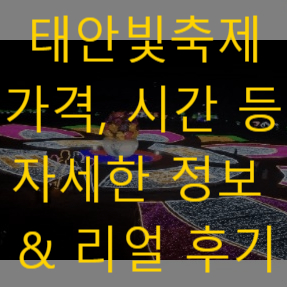  충남 태안 안면도 가볼만한곳 여행지 추천 네이처월드 빛축제