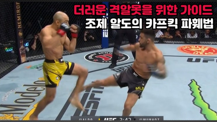 조제 알도의 카프킥 완벽 파훼법 (잭 슬랙의 더러운 격알못을 위한 가이드) 조제 알도의 카프킥 완벽 파훼법 (잭 슬랙의 더러운 격알못을 위한 가이드)