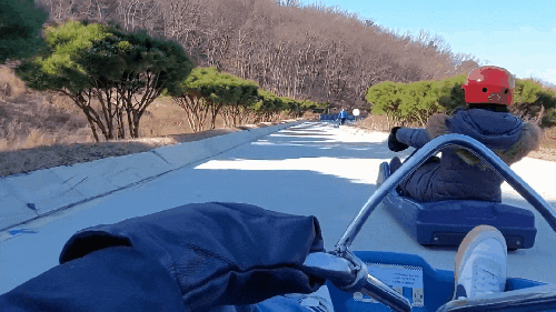  동양 최대 규모의 루지, 대긴 줄은 적고 주행코스는 긴 강화씨사이드리조트 '강화루지' / 강화도 가볼 만한 곳 / 서울 근교 당일치기 여행지