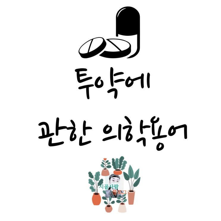  의학용어 QD를 비롯한 투약에 관한 용어 정리