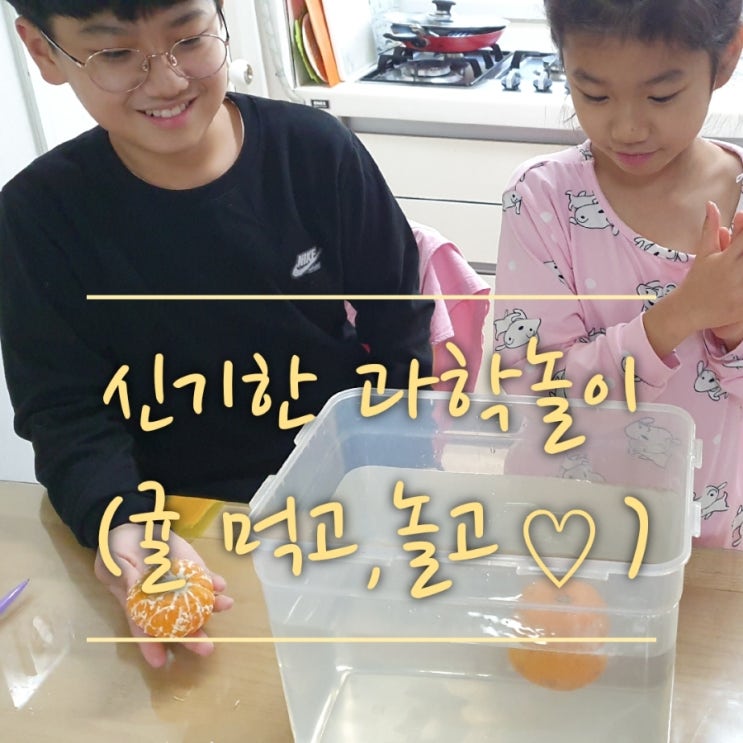  겨울에 맛있는 귤 먹으면서 아이들과 즐거운 과학놀이 해봐요~!(초등 과학 실험,간단한 과학놀이,집콕놀이추천,물의부력,귤 놀이)