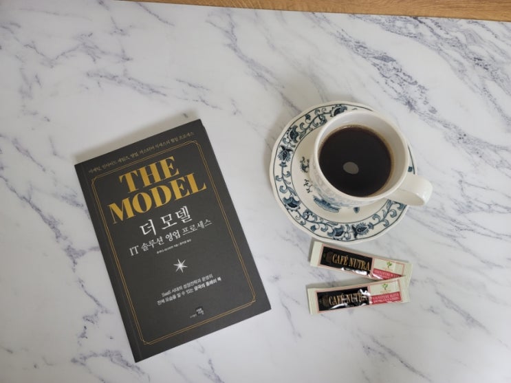  더 모델 The model, 마케팅책 영업 프로세스