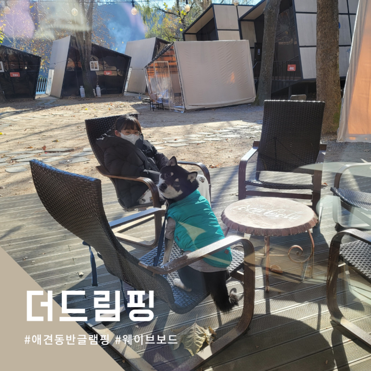  경기도가볼만한곳 글램핑과 실내서핑 할 수 있는 더드림핑