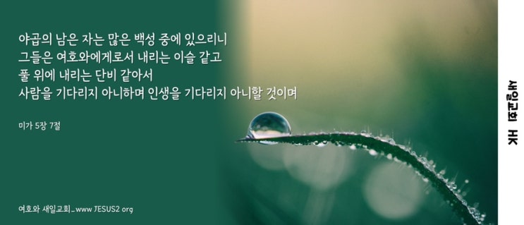  성경과 신앙 문제