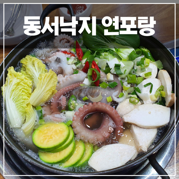  기력회복했던 구서동 동서낙지 연포탕 내돈내산 방문후기