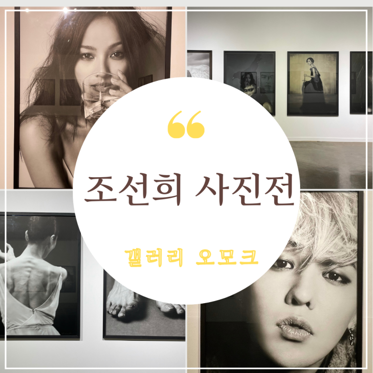  경북칠곡 갤러리오모크 사진 잘 찍는 조선희 사진전 <The Portrait>