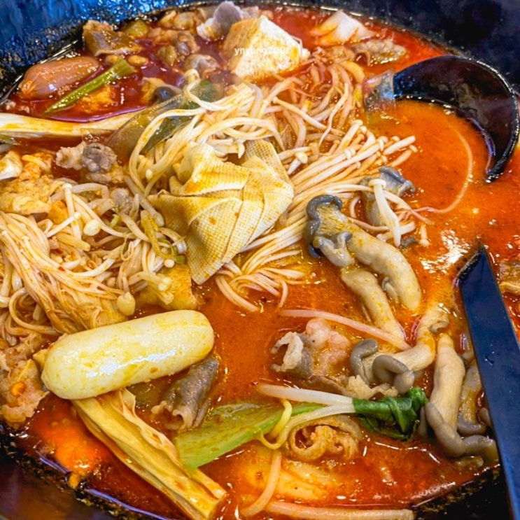  오늘, 나만의 원픽을 기록해 보세요. [2일차] - 최애맛집