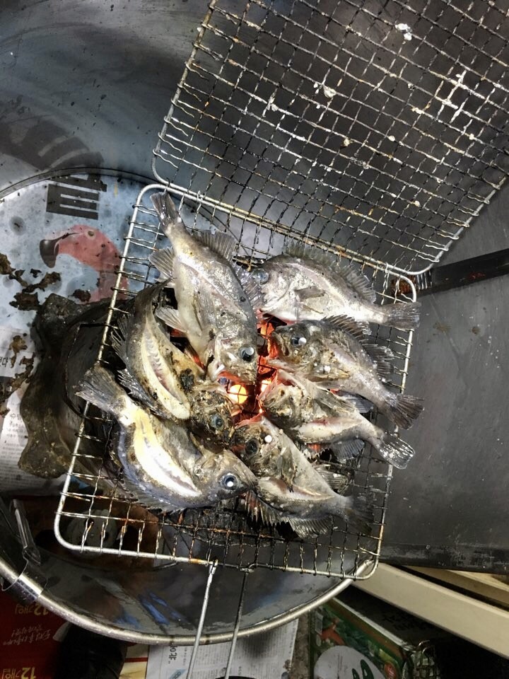 [2년 전 오늘] 연탄불 뽈락구이 곰장어구이 통영 맛집 야간열차 / 고성곱창
