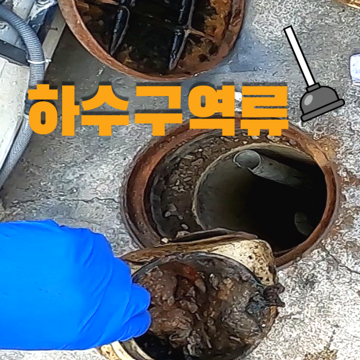  은평구 신사동 하수구 막힘, 역류 현상 고압세척