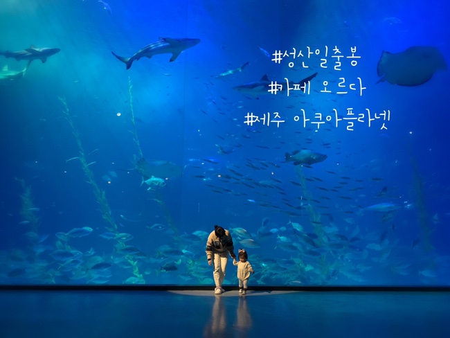  15개월 아기랑 제주도 | 광치기해변, 오르다카페, 제주 아쿠아플라넷