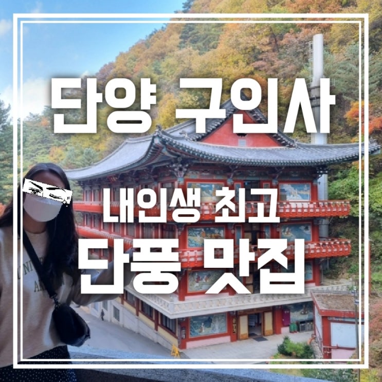 단양 구인사 내인생 최고의 단풍 맛집 단양 구인사 내인생 최고의 단풍 맛집