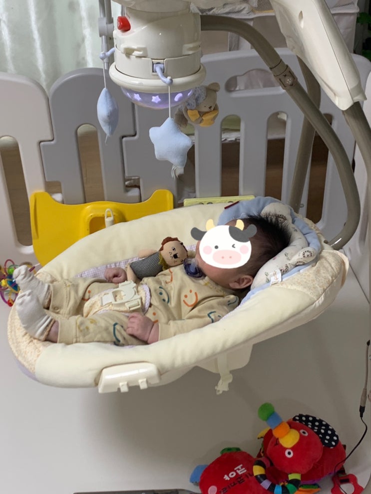 [대여] 크래들스윙/사용시기&장단점/자동 바운서 최대 사용시간/아기가 바운서에서 잠들어도 되나요?