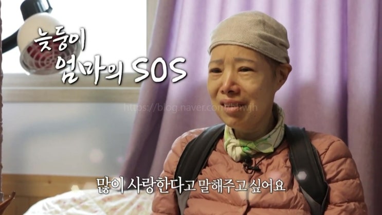 뇌 150개 암 투병중인 여자 최숙현 지정헌혈 평창동 타운하우스 경비 경호 사찰 도청 8년째 주민들 갈등 실화탐사대 뇌 150개 암 투병중인 여자 최숙현 지정헌혈 평창동 타운하우스 경비 경호 사찰 도청 8년째 주민들 갈등 실화탐사대