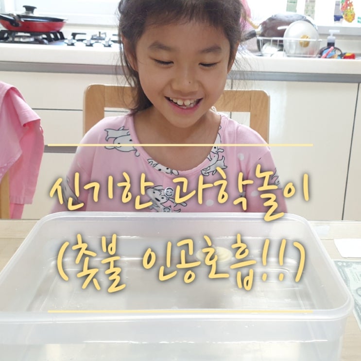  미션임파서블 촛불을 살려라!!(간단한 과학놀이,집콕놀이,초등 과학 실험,촛불놀이)