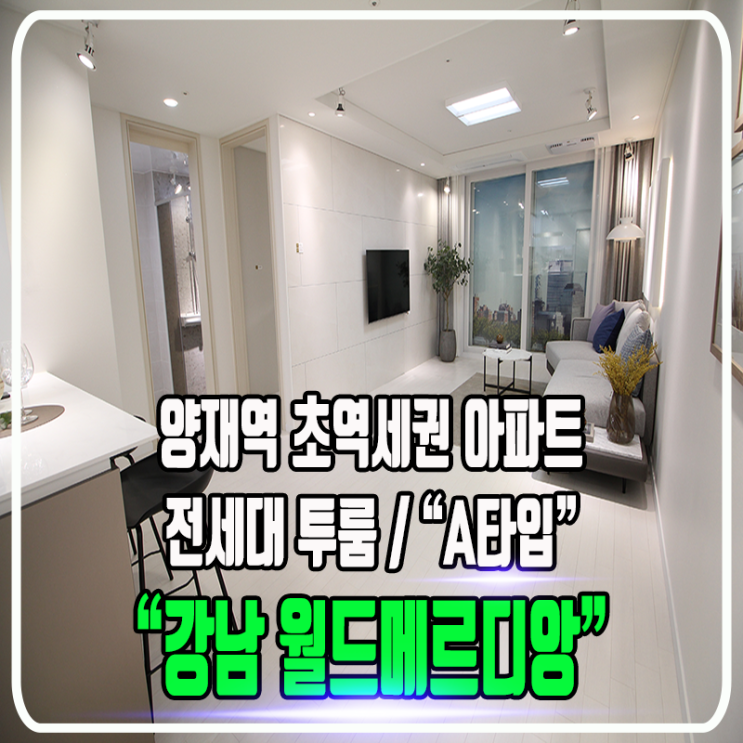 강남 월드메르디앙 프레스티지 아파트 - 전세대 투룸 구조, 양재역 초역세권 / 정보 및 타입소개
