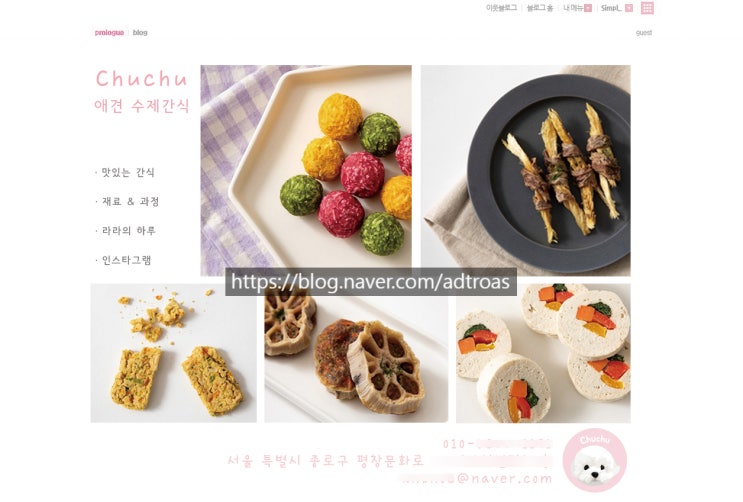  홈페이지형 블로그