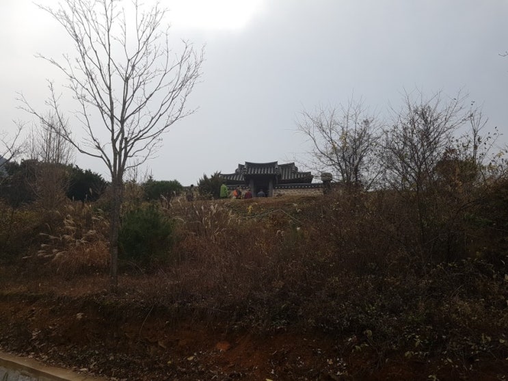  기술 변화에 대처하는 방법