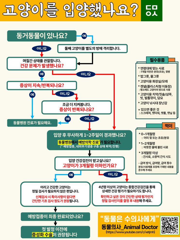 고양이를 입양했나요? 그 이후의 과정 (준비물/먹이/격리/접종/건강검진/중성화)