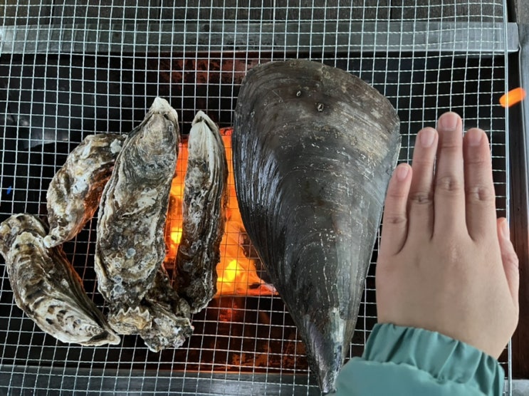  보령2탄 - 자연산 석화구이엔 역시 화이트와인, 샴페인, 레드와인..?? 더반힐 글램핑&리조트 펜션