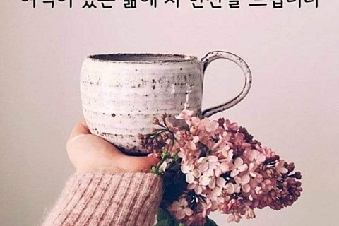 주식회사 송송 이미지