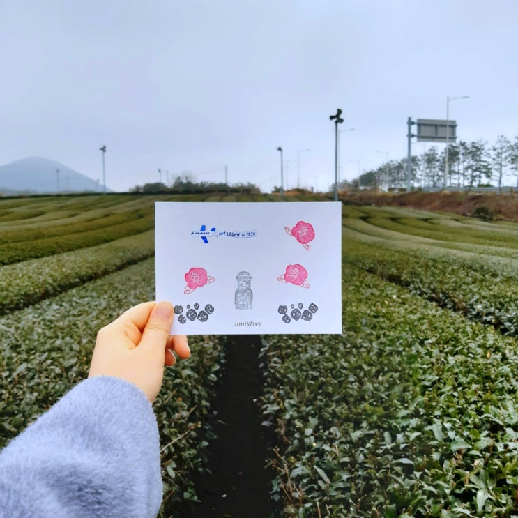 제주도 녹차밭 이니스프리 제주하우스 오설록 티 뮤지엄 카페 내돈내산 후기