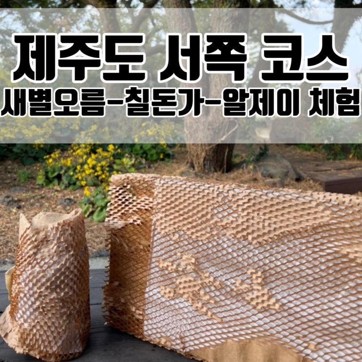  제주도 서쪽 코스 - 새별오름 / 흑돼지 맛집 칠돈가 / 알제이 도마체험