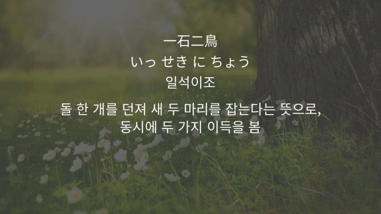  일본어 사자성어
