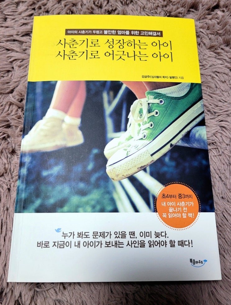 사춘기로 성장하는 아이, 사춘기로 어긋나는 아이