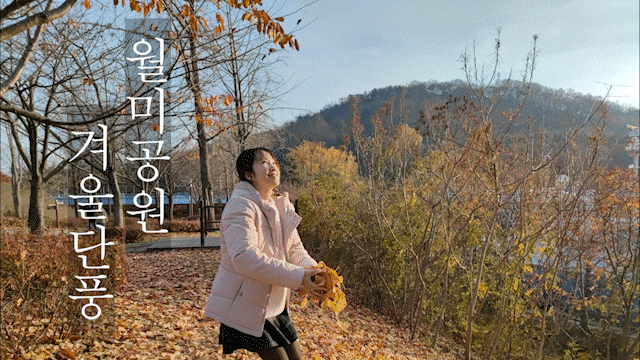 인천 월미공원 겨울 단풍 데이트하기 좋은 곳 인천 월미공원 겨울 단풍 데이트하기 좋은 곳