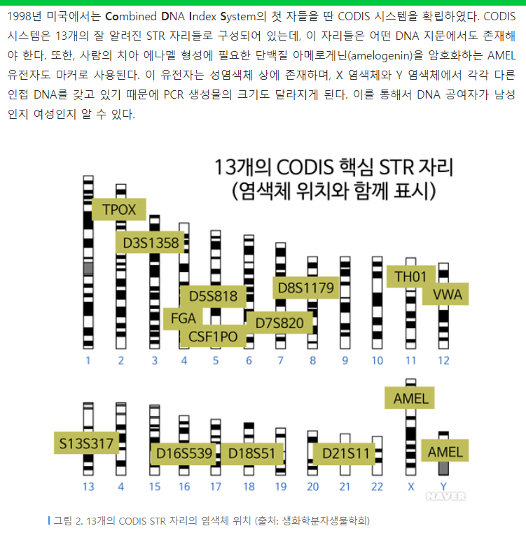 친자 확인 검사의 과학적 원리 : 네이버 블로그