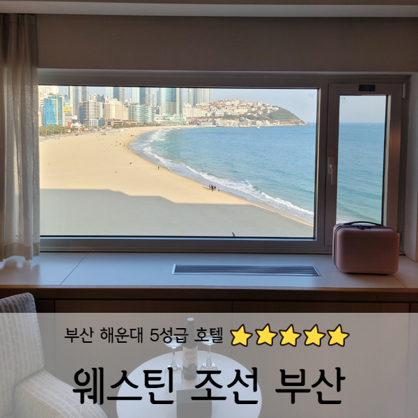 [부산] 해운대 웨스틴 조선 부산 디럭스 오션뷰 1탄 (객실 내부)