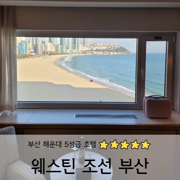  [부산] 해운대 웨스틴 조선 부산 디럭스 오션뷰 1탄 (객실 내부)