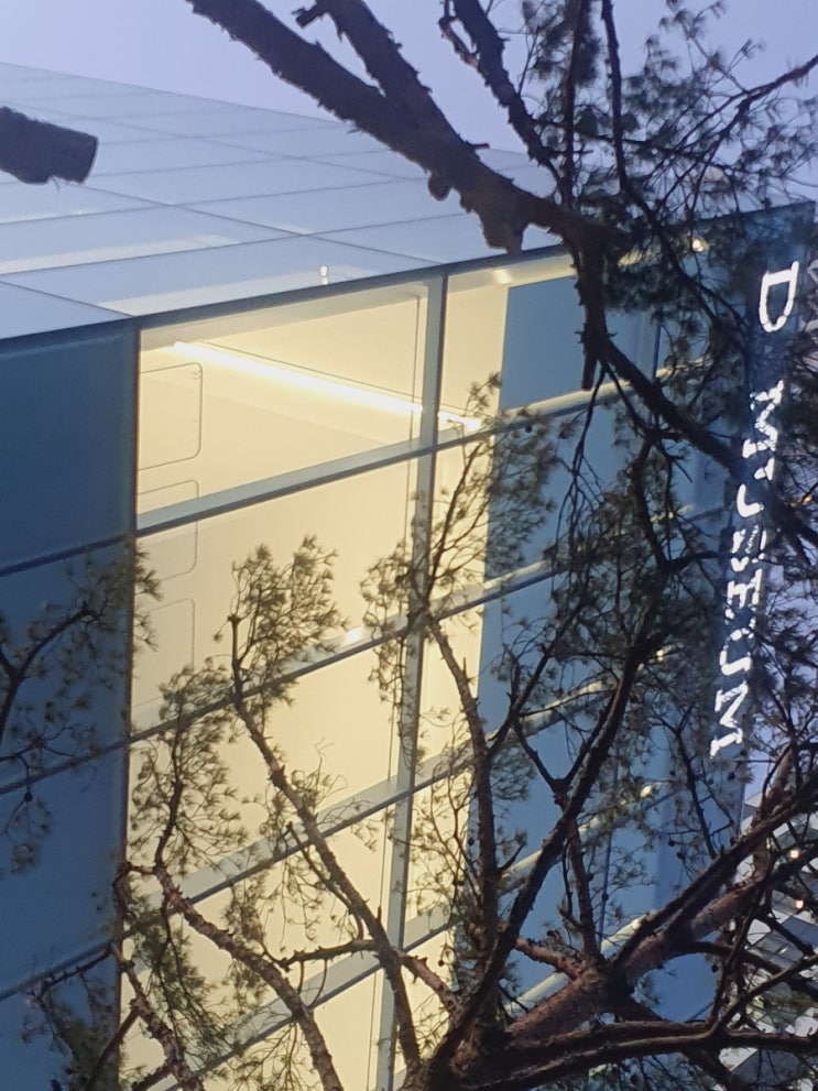  성수동 주말 도보 탐방: 디뮤지엄 독립출판 페어, 뚝도시장 저녁, 로컬 와인바 성수소파