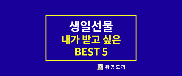  20대 남자 생일선물 내가 받고 싶은 5가지