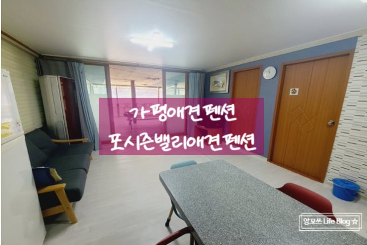  가평 청정계곡에서 반려동물과 함께! <가평 포시즌밸리애견펜션>