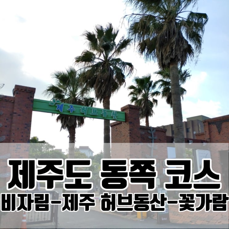  제주도 동쪽 코스 모녀여행 - 비자림 / 제주 허브동산 / 몸국 맛집 꽃가람