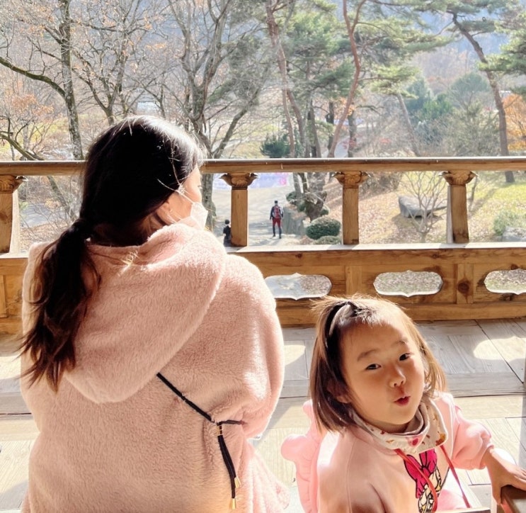  예산 향천사 나들이_낙엽천국 산책길