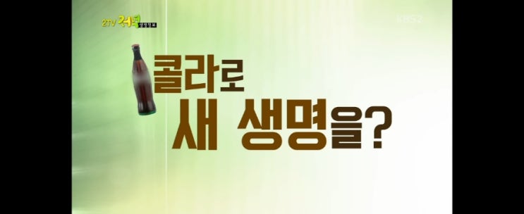  남은 콜라 활용법