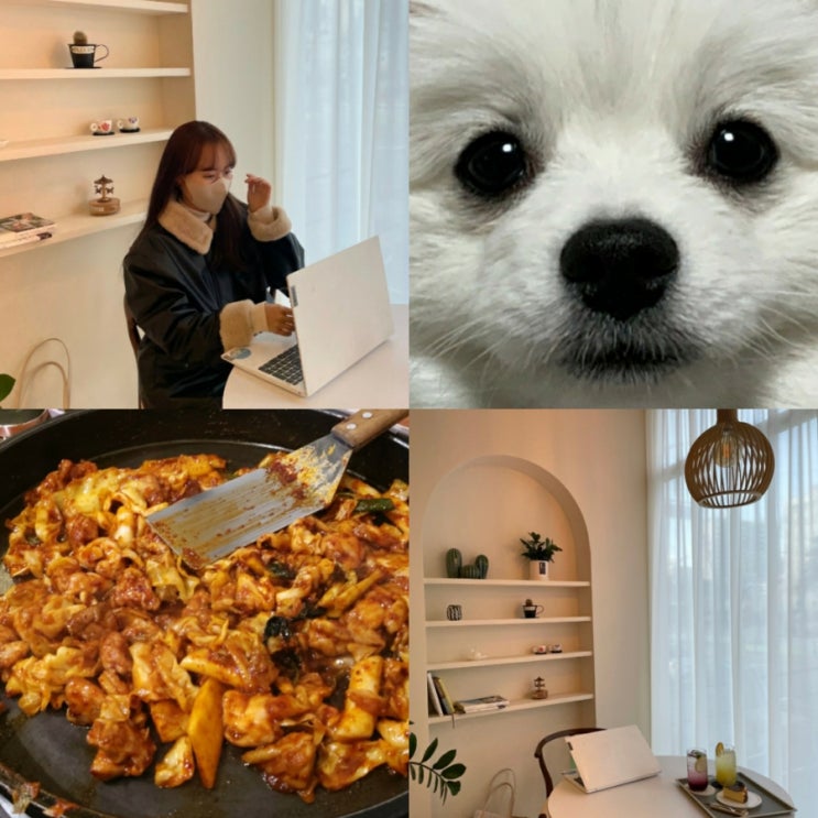  막학기 대학생은 다 이렇게 힘든건가요c/청주율량동카페《연》닭갈비《춘천집》