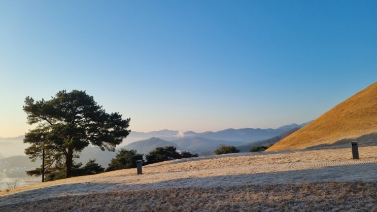 [경북-고령] 고분군 중에서 가장 거대한 순장 - 지산동 대가야 고분군