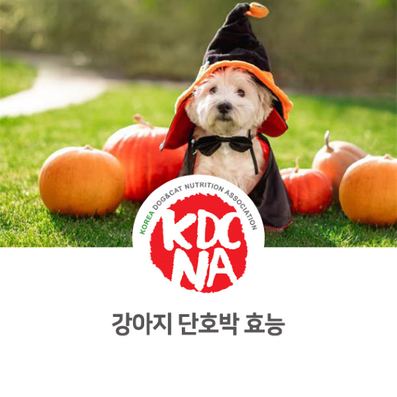  강아지 단호박 영양소와 활용법 [한국반려동물영양협회/이지안펫영양사/펫푸드자격증/반려동물영양사/강아지간식만들기/펫푸드/전주/군산/정선/단양/청주]_927
