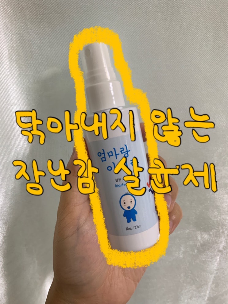  [내돈내산] 영유아 살균 소독제 추천/닦아내지 않아도 되는/장난감 소독 방법
