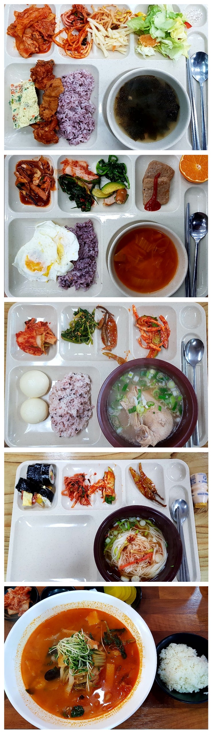  12월1째주 점심식단 공개합니다