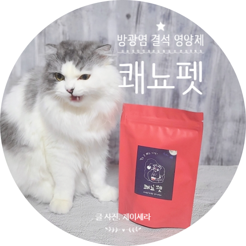  방광염 요로결석 혈뇨에 좋은 강아지 고양이영양제를 찾으시나요? 음수량을 늘리고 싶나요? (ft.  쾌뇨펫 )