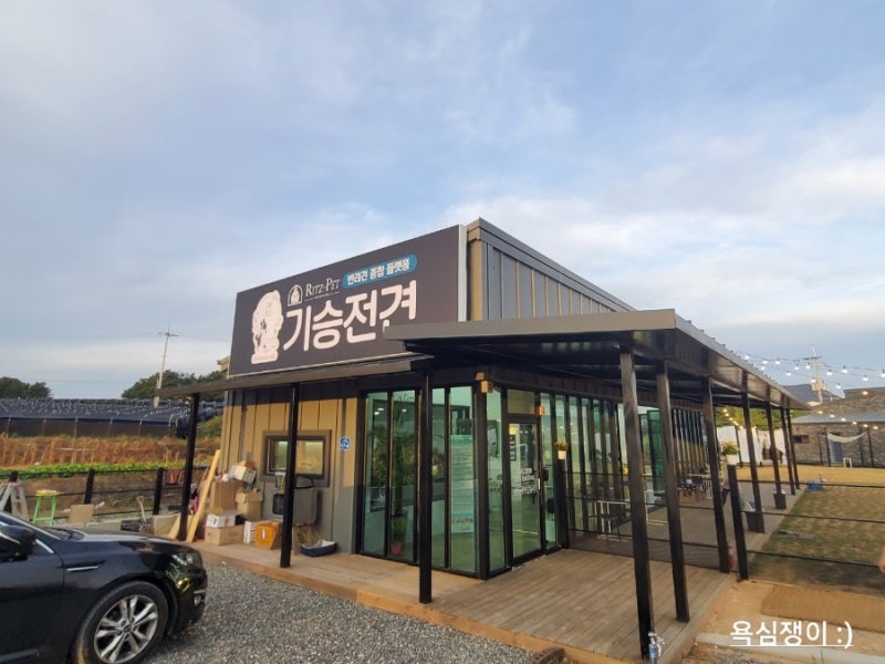 리츠펫 기승전견